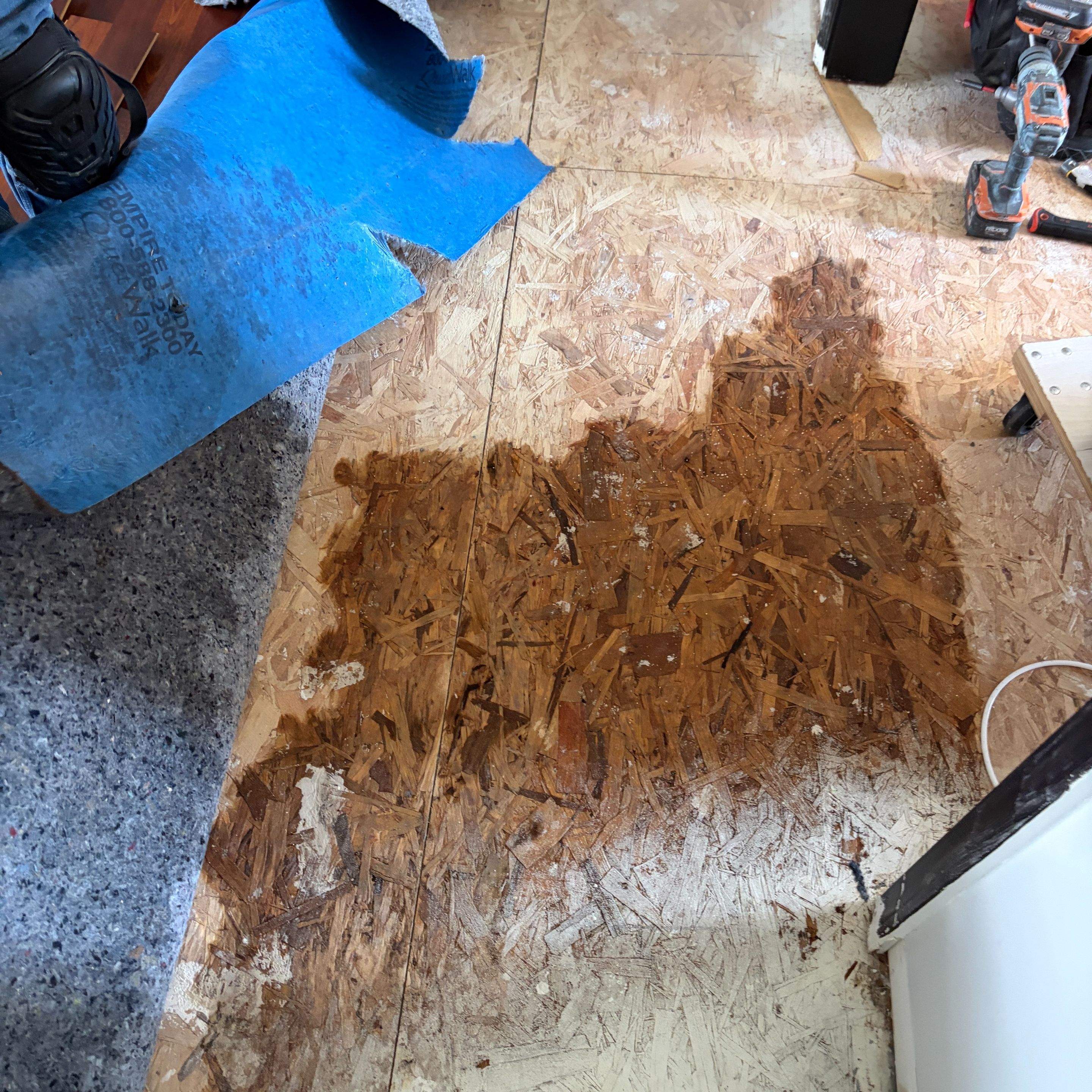 AC Leak Water Damage in Hagerstown: Condensate Line Repair